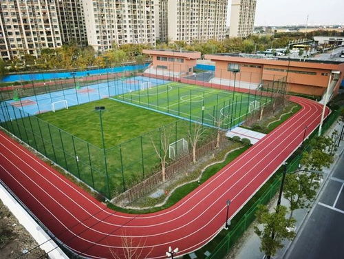 匯聚體育力量，共筑健康青浦——青浦區全民健身體育組織年度工作盤點