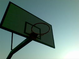 一呼百應公司頻道 軟件開發領域的創新引擎與協作平臺